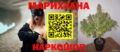 таблы Гатчина