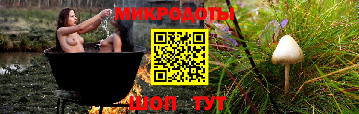 Тосно  Псилоцибиновые грибы Cubensis  Галлюциногенные грибы ЛСД  Вход с VPN 